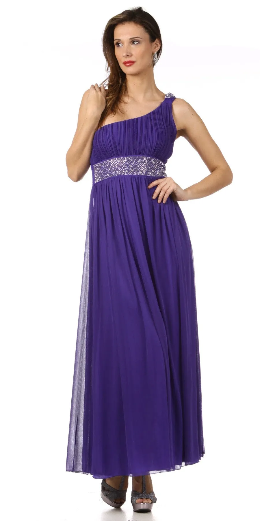 CLEARANCE - Celavie 2095L Dinner Party Long Plum One Shoulder Dress Chiffon (Size XL)